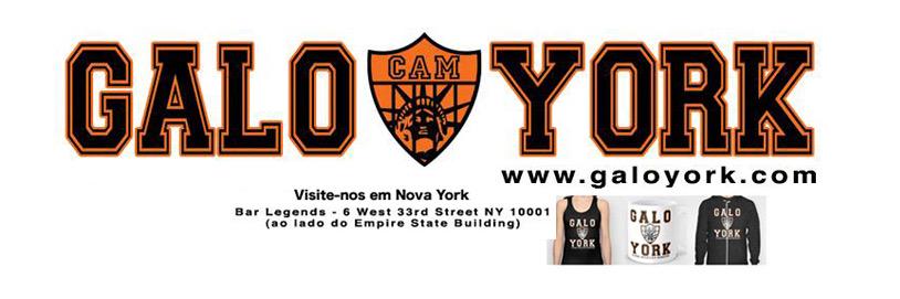 GaloYork's profile banner image
