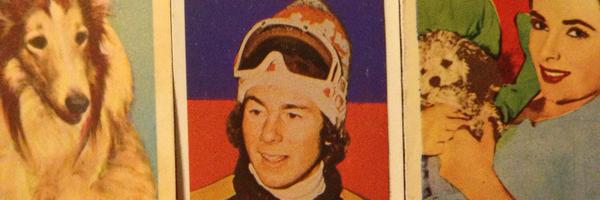 KarinLindblad Profile Banner