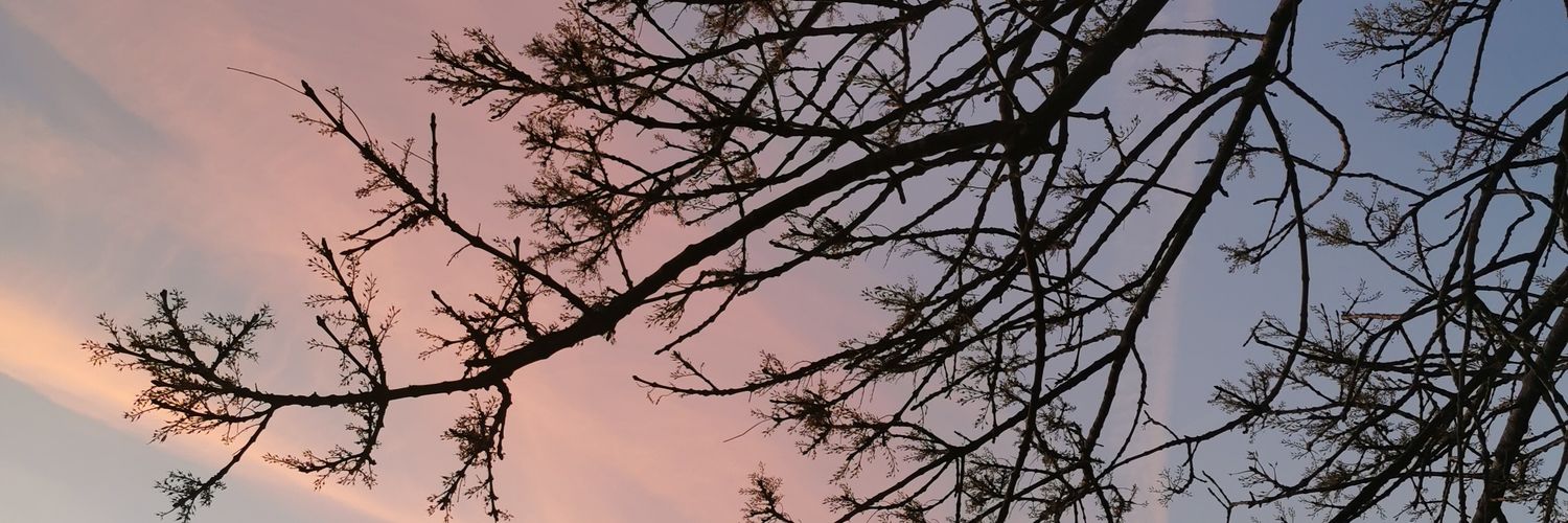 kateSx17's profile banner image