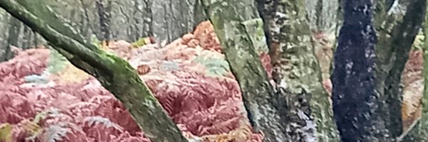 JOldham65 Profile Banner
