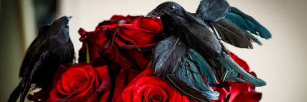 RavenRoseHair Profile Banner