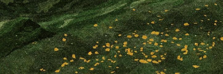 Amazing p banner