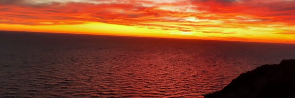 magnoliafergon Profile Banner