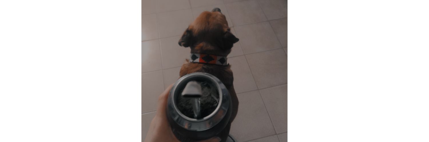 belenrosaa's profile banner image
