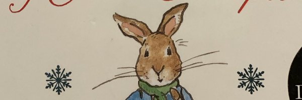 robin2reader Profile Banner