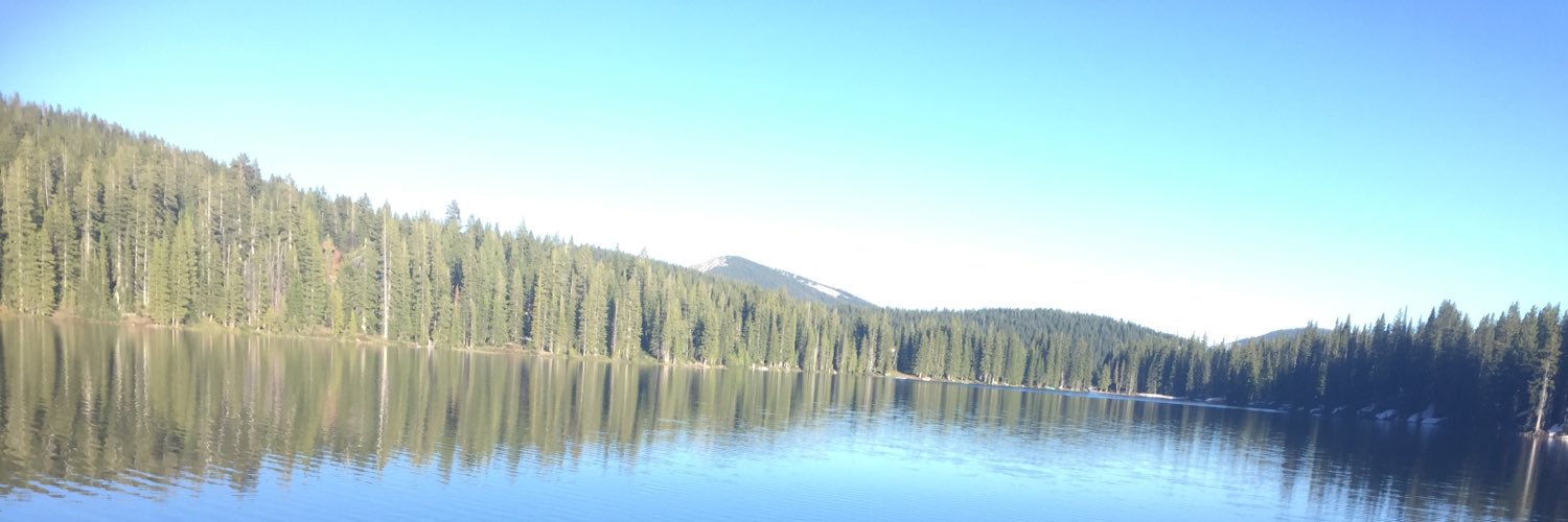 nickirwin14's profile banner image
