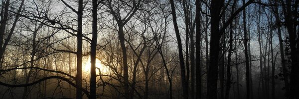 BetweenTheSun Profile Banner