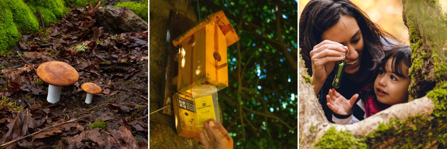 GoGeocaching's profile banner image