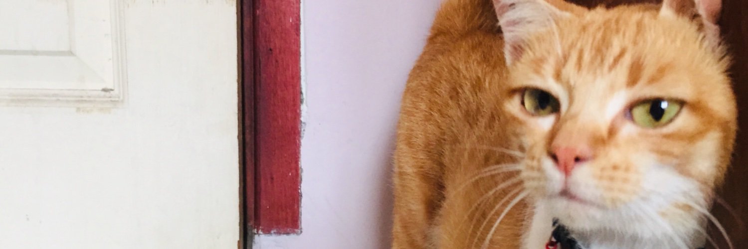 adprns's profile banner image