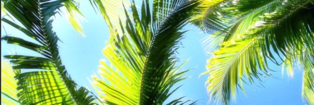 claireedoug's profile banner image