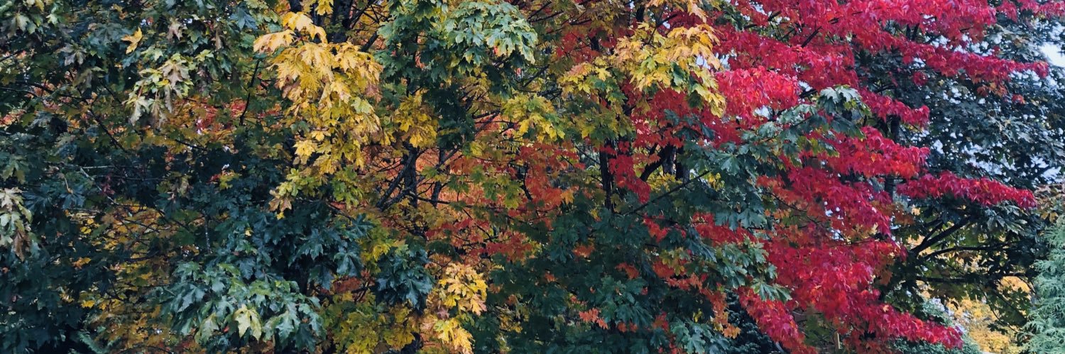 drosen23's profile banner image