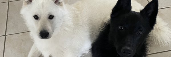 ᴄᴏʟᴅᴇɴ Profile Banner