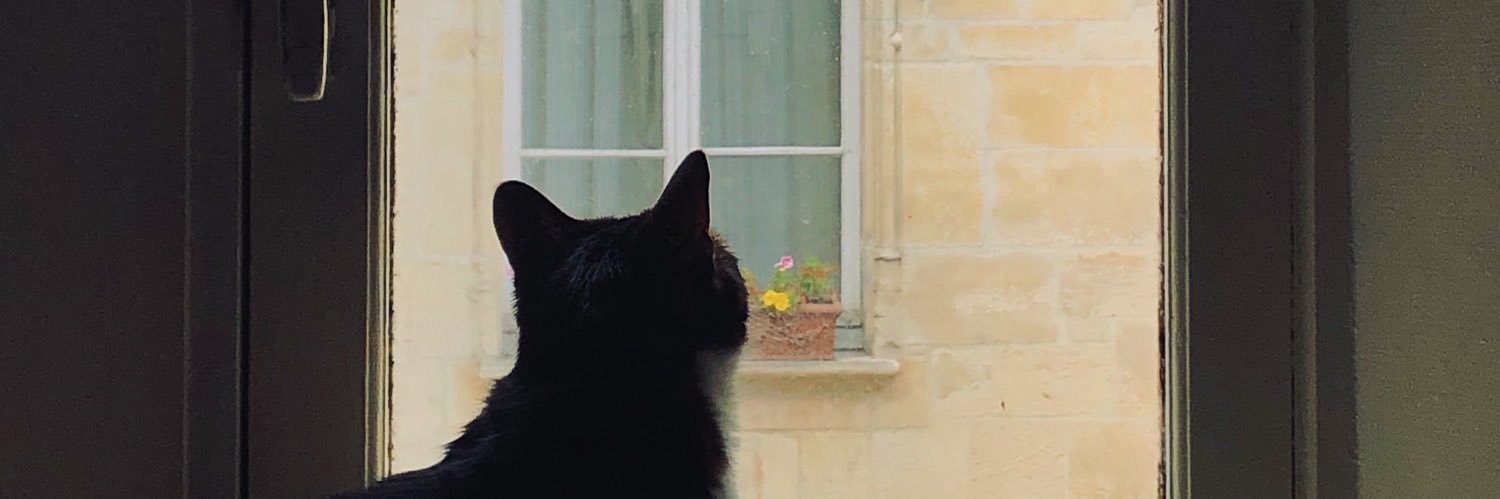 LisaCharryCotti's profile banner image