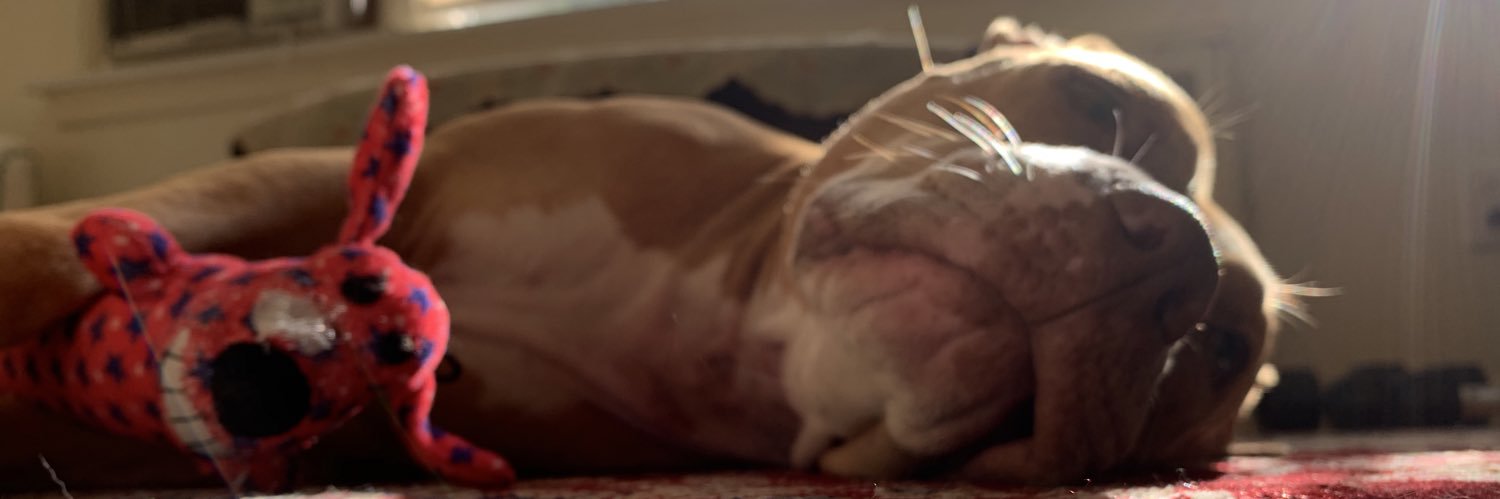 SpotLilDevil's profile banner image