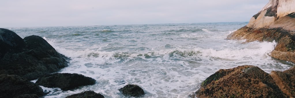 Danilo banner