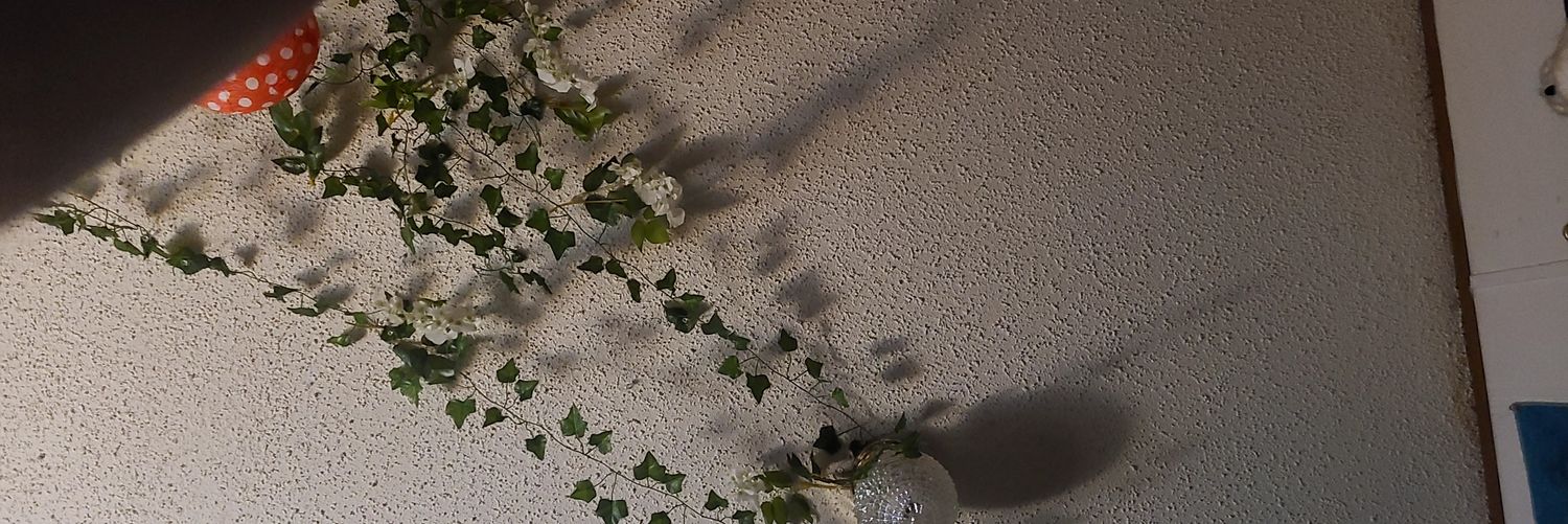 kittyoonfi's profile banner image