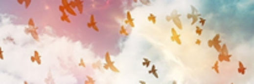 SoliaPensarQue's profile banner image