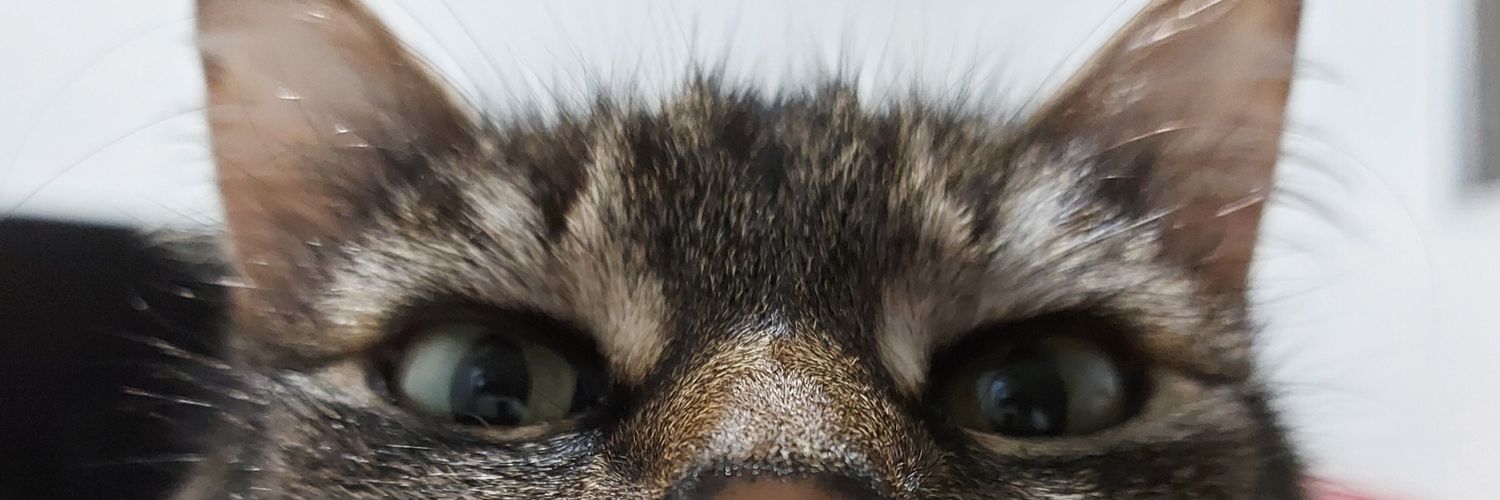 cintiatks's profile banner image