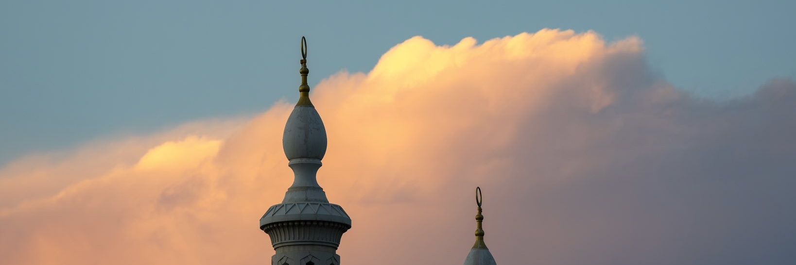 rozyadam's profile banner image