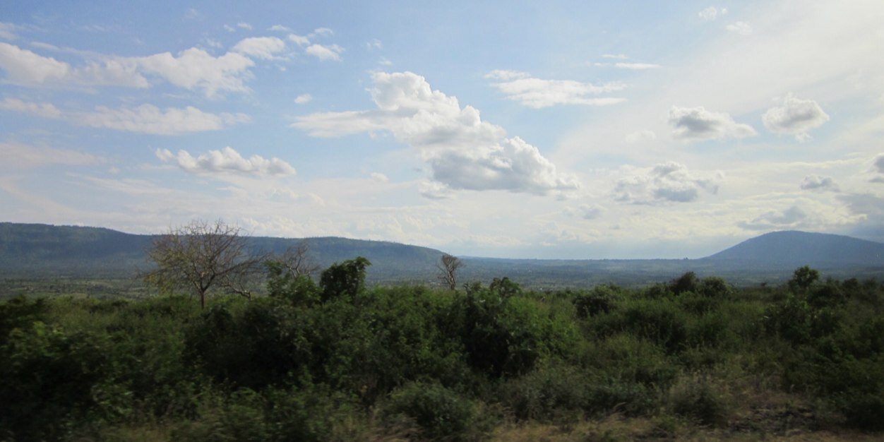 amandambuvi's profile banner image