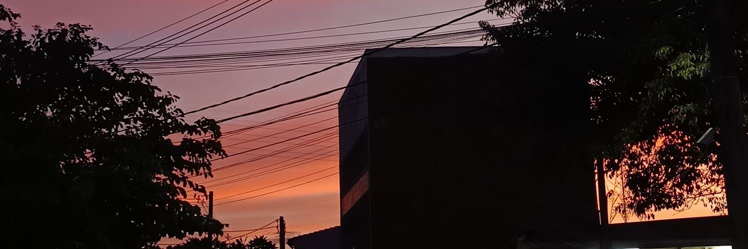 Pandachsn's profile banner image
