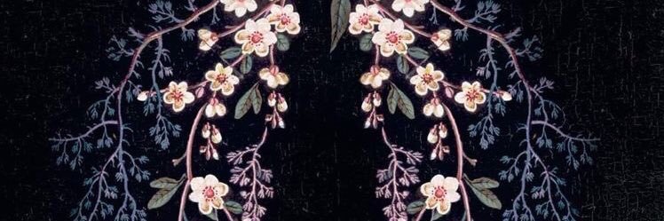 DerSchwan's profile banner image