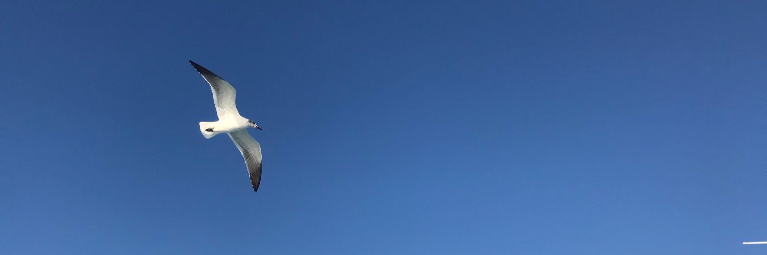 DanielaVara1's profile banner image