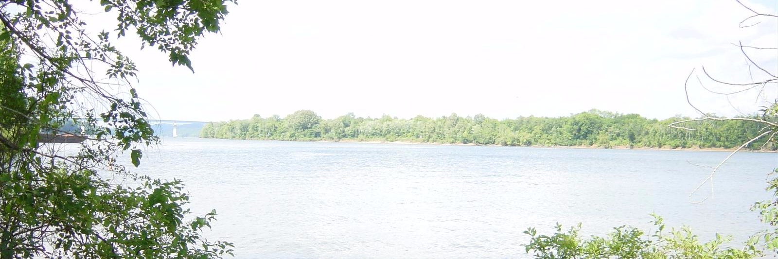 tenatyler's profile banner image