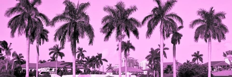 RIZES banner