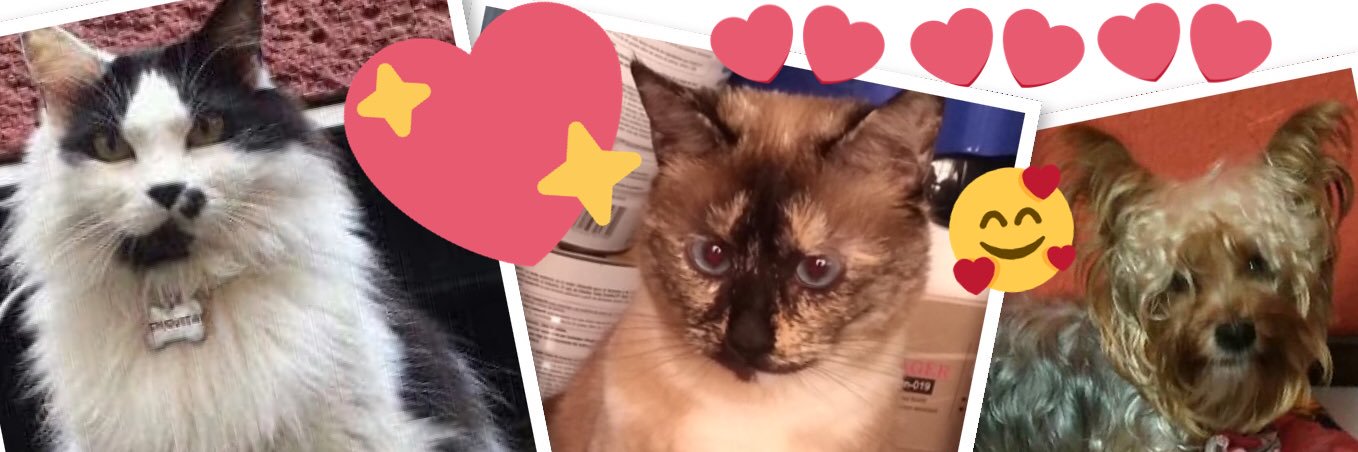 soldajess12's profile banner image