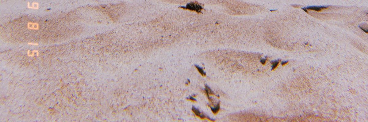 Julss010's profile banner image