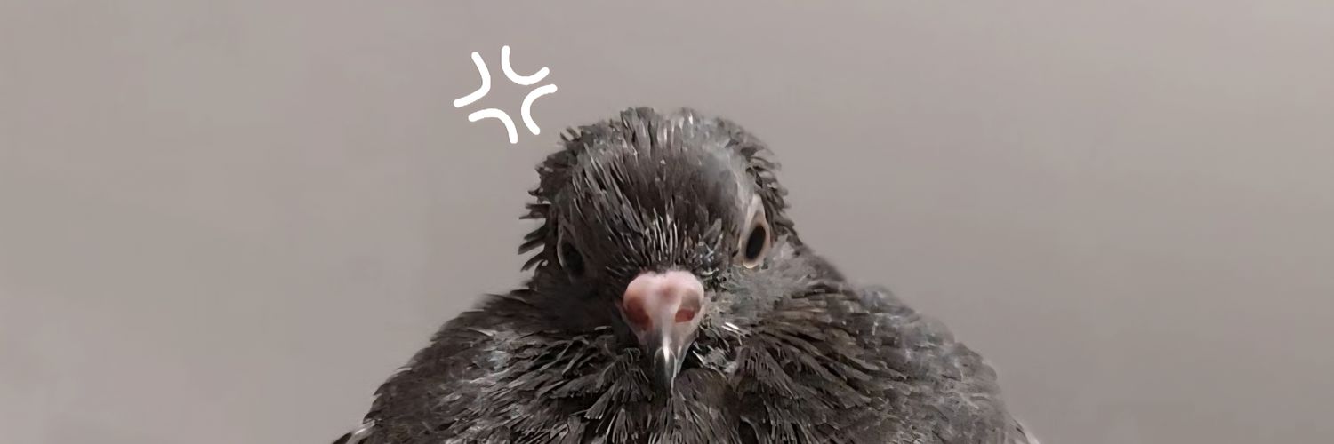 Виктор-Жанетта banner