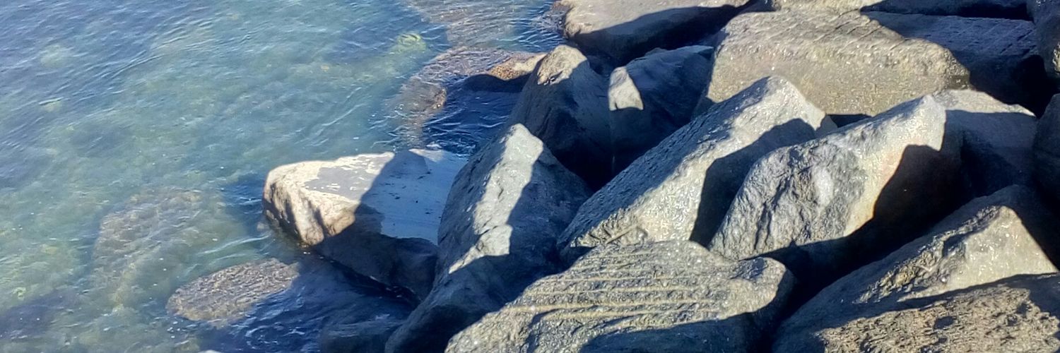 Secretary General Thomas banner