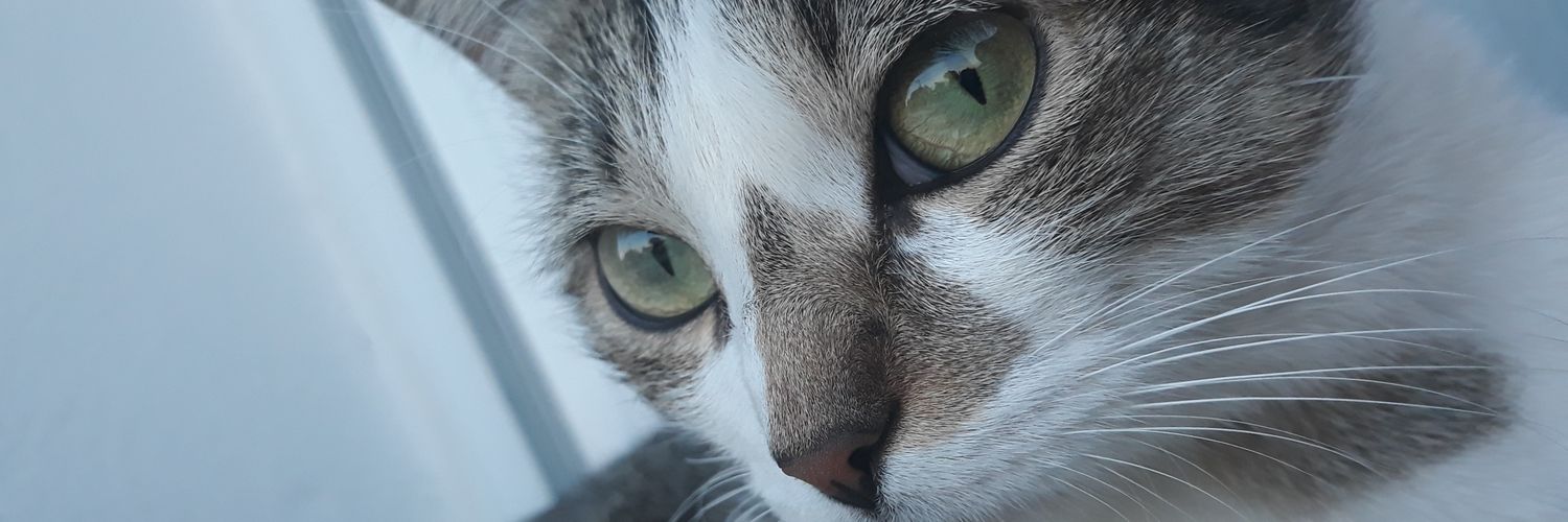 Edfame_'s profile banner image
