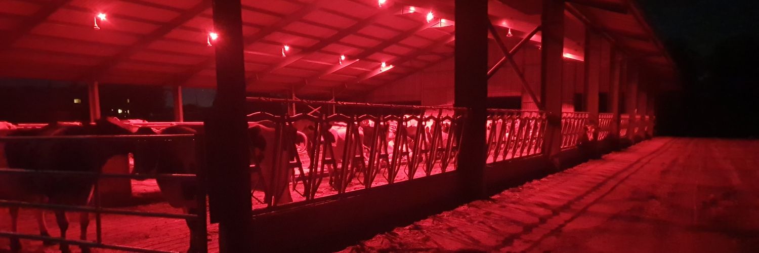 Michael Nolan banner