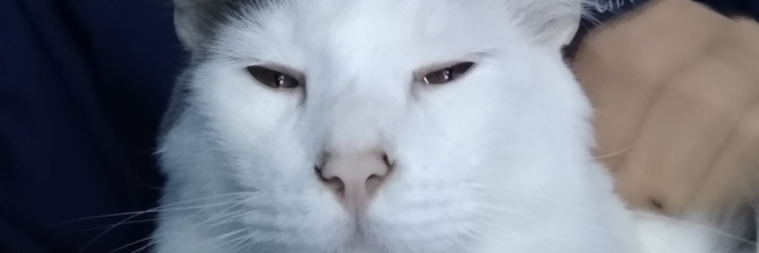 _rocketmann_'s profile banner image
