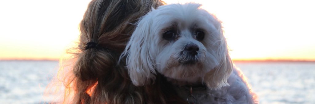 KaylaDiederich's profile banner image