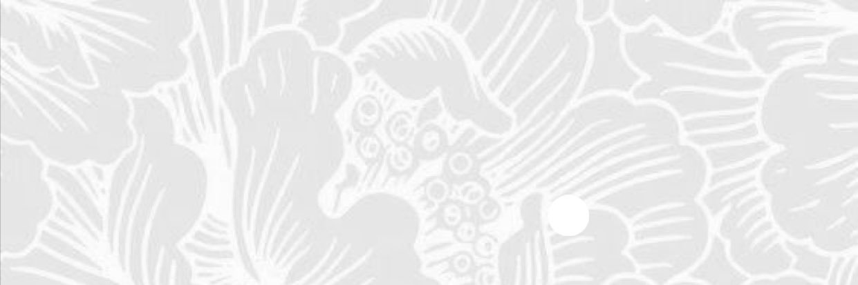ameliagmartinez's profile banner image