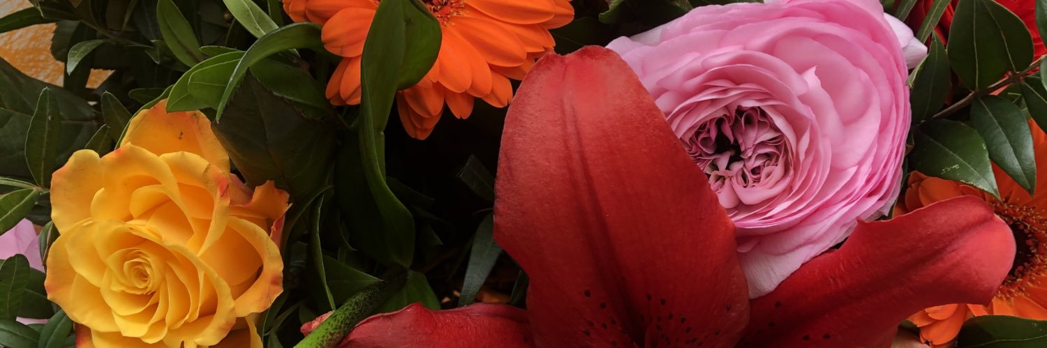 Rudybnt's profile banner image