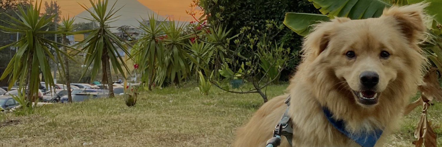 mishelldiaz_15's profile banner image