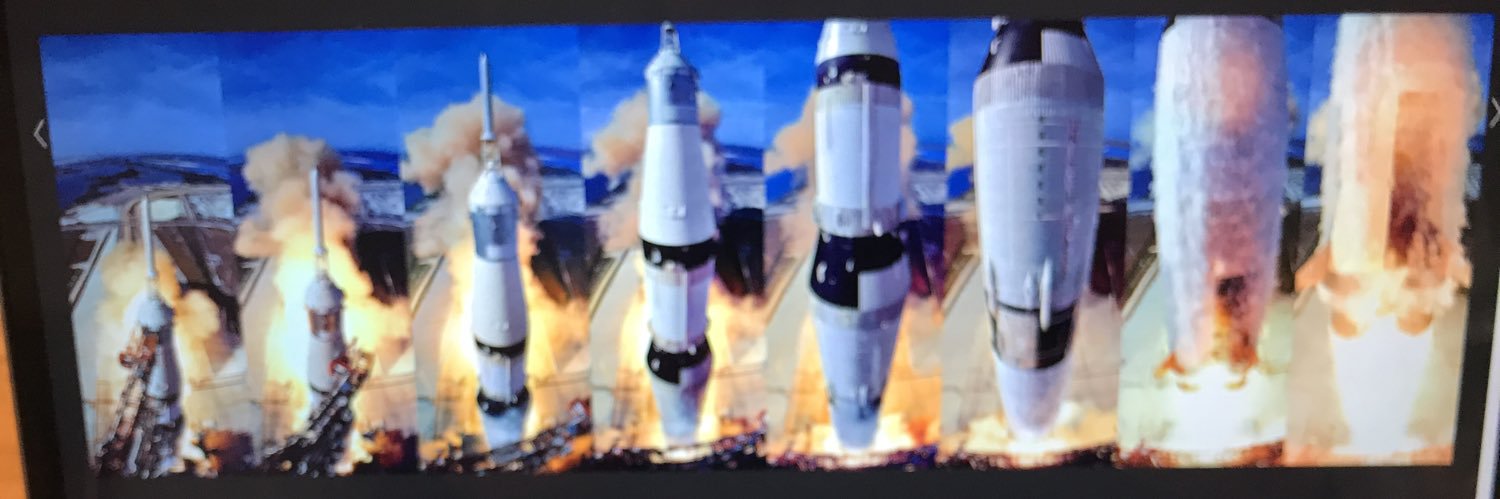 🇺🇦🇵🇸Respectful commentary hound from Kuringgai banner