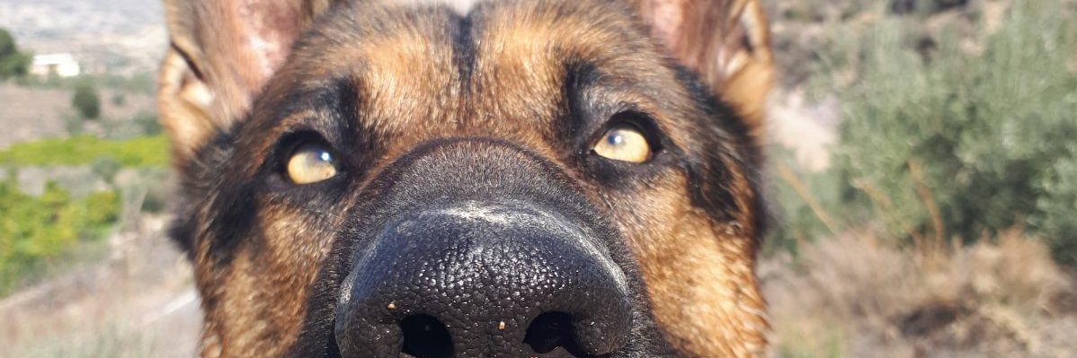 Macalacrazy's profile banner image