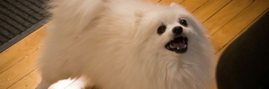 moonmemes's profile banner image