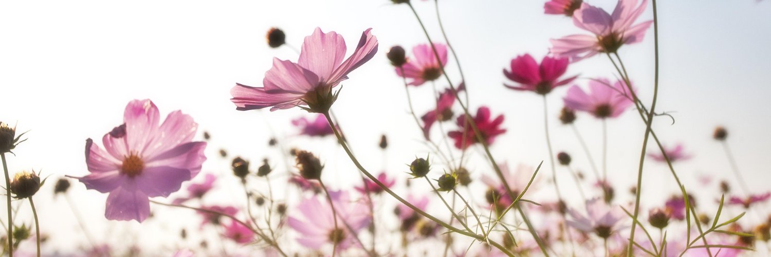 ジトー＊ジョシュ banner