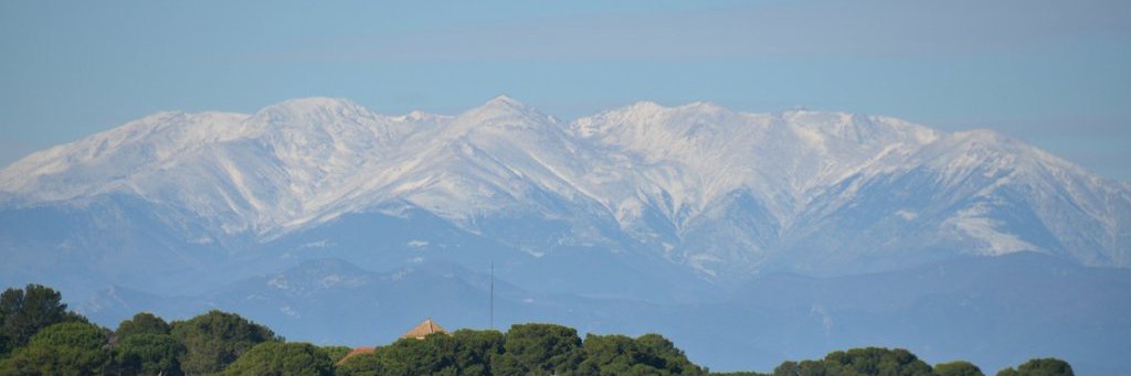 Lluís Sala banner