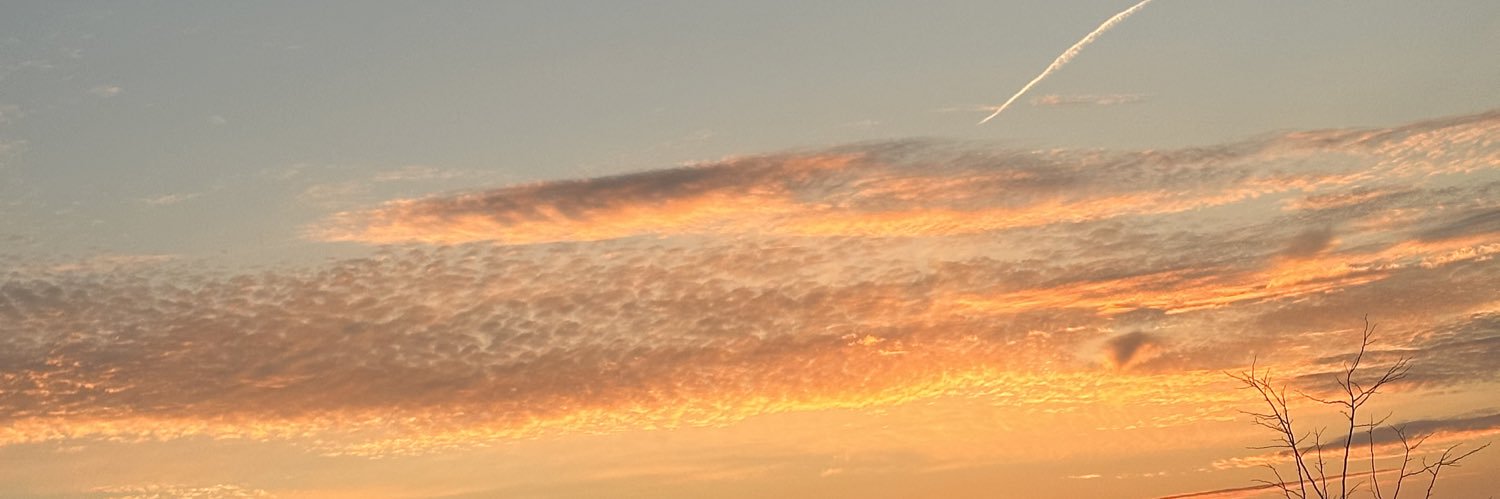mxmphis___'s profile banner image