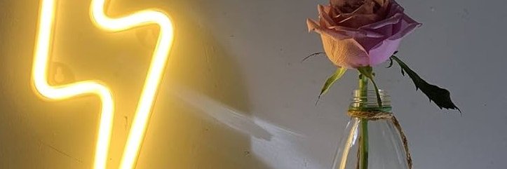 I have Opinions but so does everyone. banner