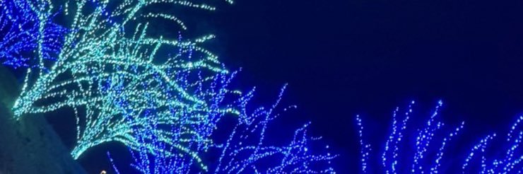 S3RL_k's profile banner image