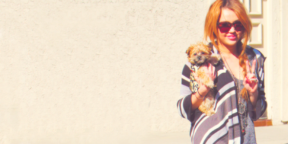 _Smiler4ever's profile banner image