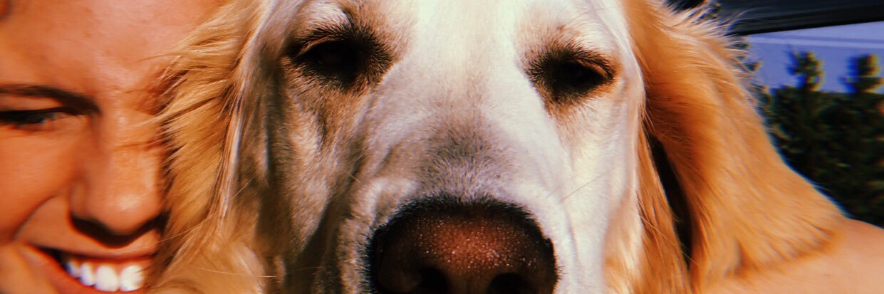 ashleyeide's profile banner image